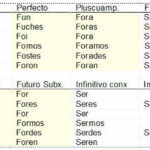 Quais são os verbos regulares e irregulares?